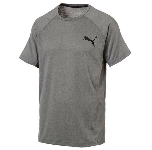 Puma Dri-Release SS Tee Herren T-Shirt 513863 (Grau 18)